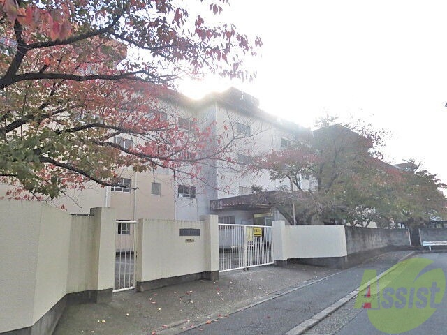 小学校　豊島北小学校（小学校）まで913m