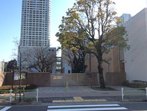 小学校　港区立港南小学校（小学校）まで450m