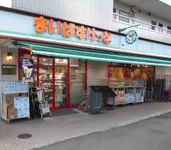 シティテラス横濱綱島ガーデンズの周辺写真