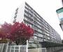 東野駅より徒歩7分 1階 築51年の賃貸物件