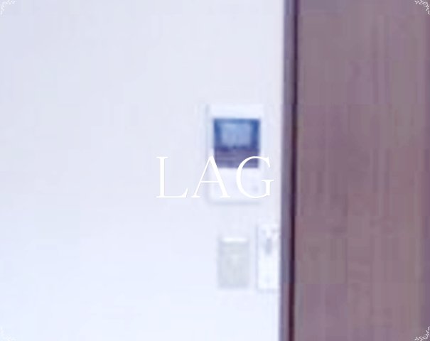 セキュリティ　TVモニターフォンです。