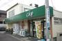 スーパー　コープかながわ「白幡店」（スーパー）まで260m