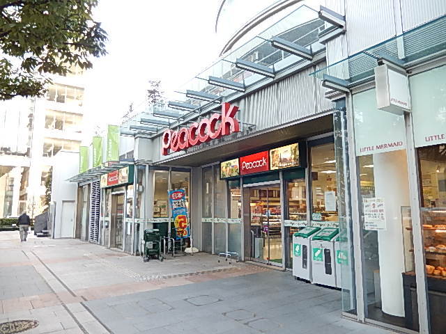 その他　ピーコック（その他）まで267m