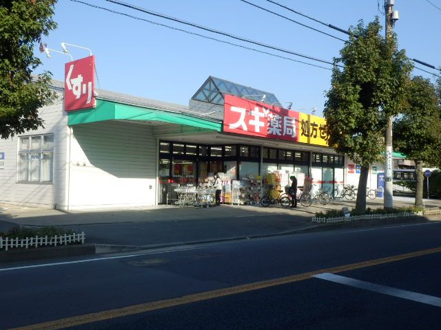 ドラックストア　スギ薬局厚木愛甲店（ドラッグストア）まで292m