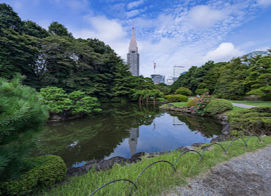 公園　新宿御苑（公園）まで1567m