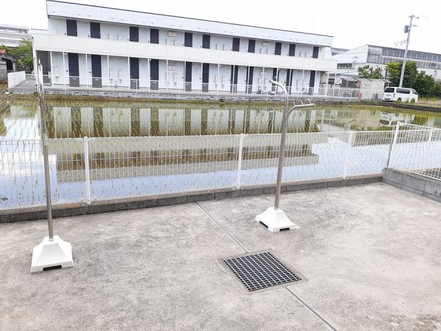 庭