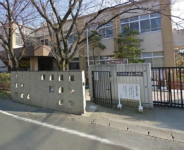 小学校　京都市立桂東小学校（小学校）まで670m