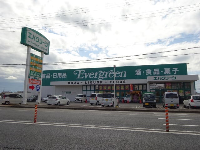 ドラックストア　エバグリーン 紀三井寺店様（ドラッグストア）まで393m