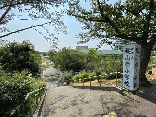 小学校　堺市立桃山台小学校（小学校）まで300m