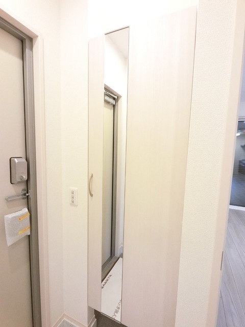 玄関　広めのＢｏｘは収納力ばっちり。トールタイプのミラーついてます