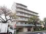 東府中駅より徒歩10分 5階 新築の賃貸物件