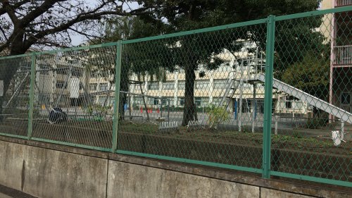 小学校　開桜小学校（小学校）まで423m