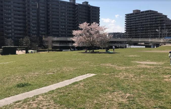 公園　妙典公園（公園）まで160m