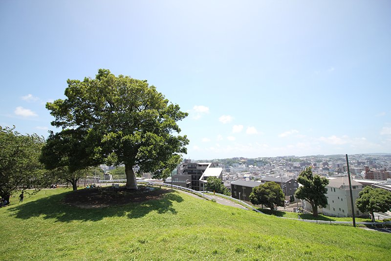 公園　清水ヶ丘公園（公園）まで1132m