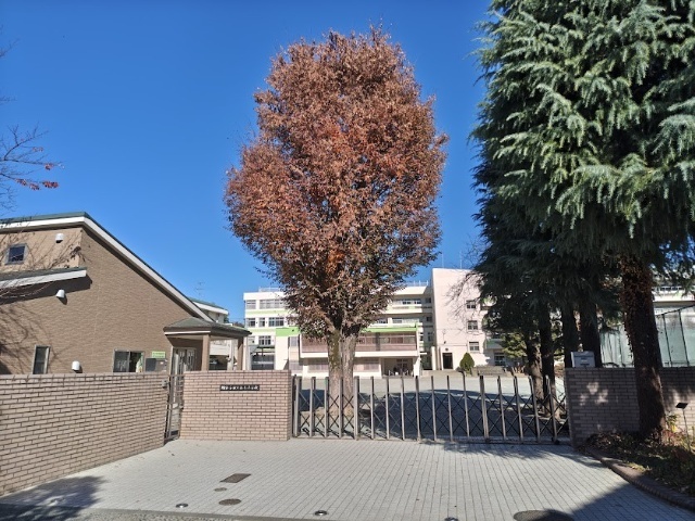 小学校　国分寺市立第七小学校（小学校）まで698m
