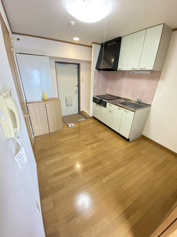 地下鉄千日前線 新深江駅 徒歩2分 11階建 築23年の居間写真