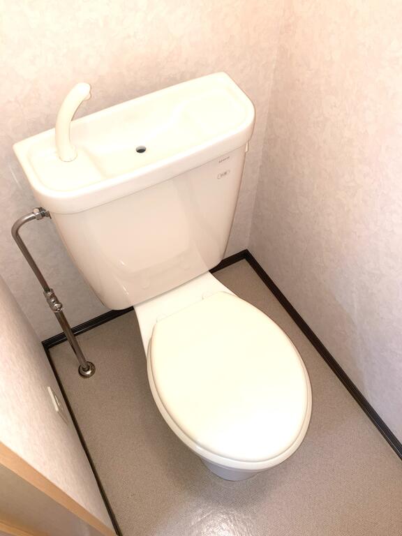 ビューシティ阿羅古Dのトイレ写真