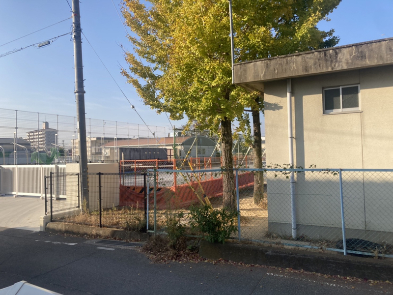 ラフィーネのその他写真