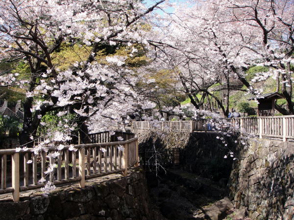 【北区王子のマンションの公園】