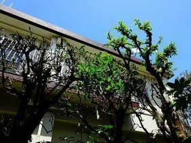 【杉並区和泉のマンションの建物外観】