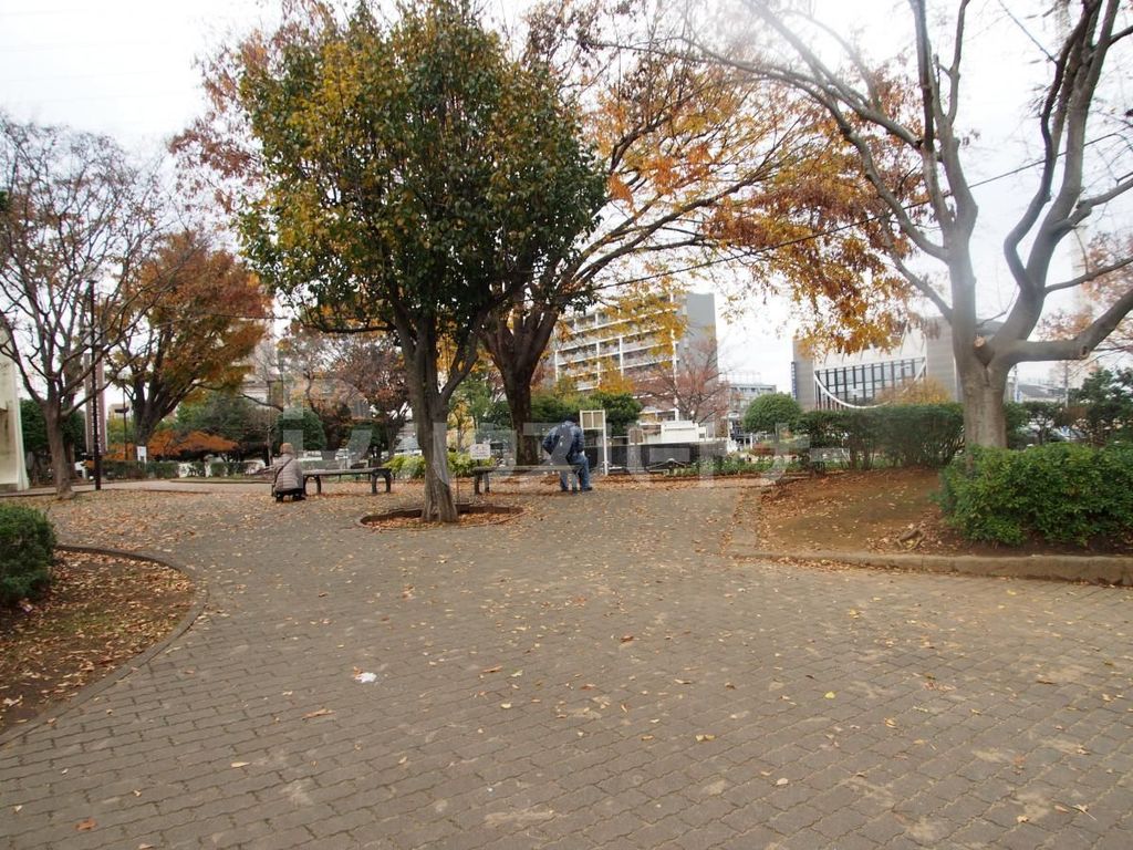 【夏見戸建の公園】