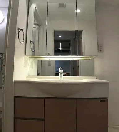 洗面設備　※別部屋の参考写真です。