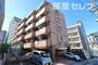 セレス星が丘 4階 築22年10ヶ月の賃貸物件