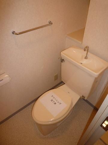 トイレ　※同建物　同タイプ間取り　別室設備施工例　現況優先
