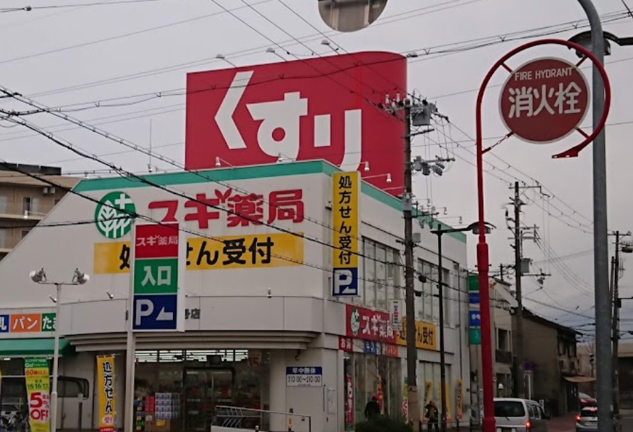 ドラックストア　スギ薬局姫島店（ドラッグストア）まで1075m