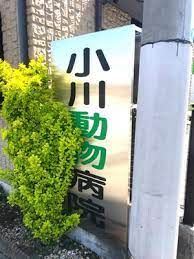 病院　小川動物病院（病院）まで299m