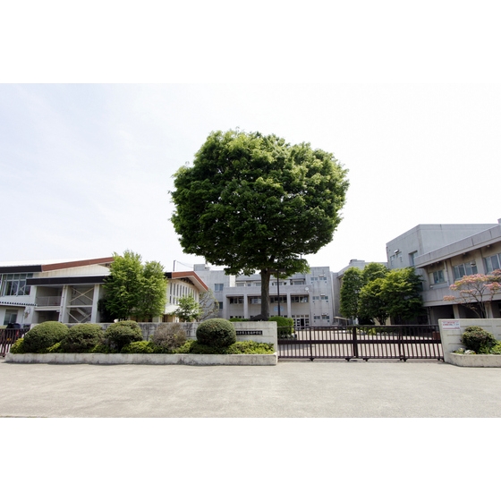 中学校　市立東林中学校（中学校）まで1600m