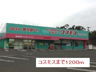 ドラックストア　コスモス（ドラッグストア）まで1200m