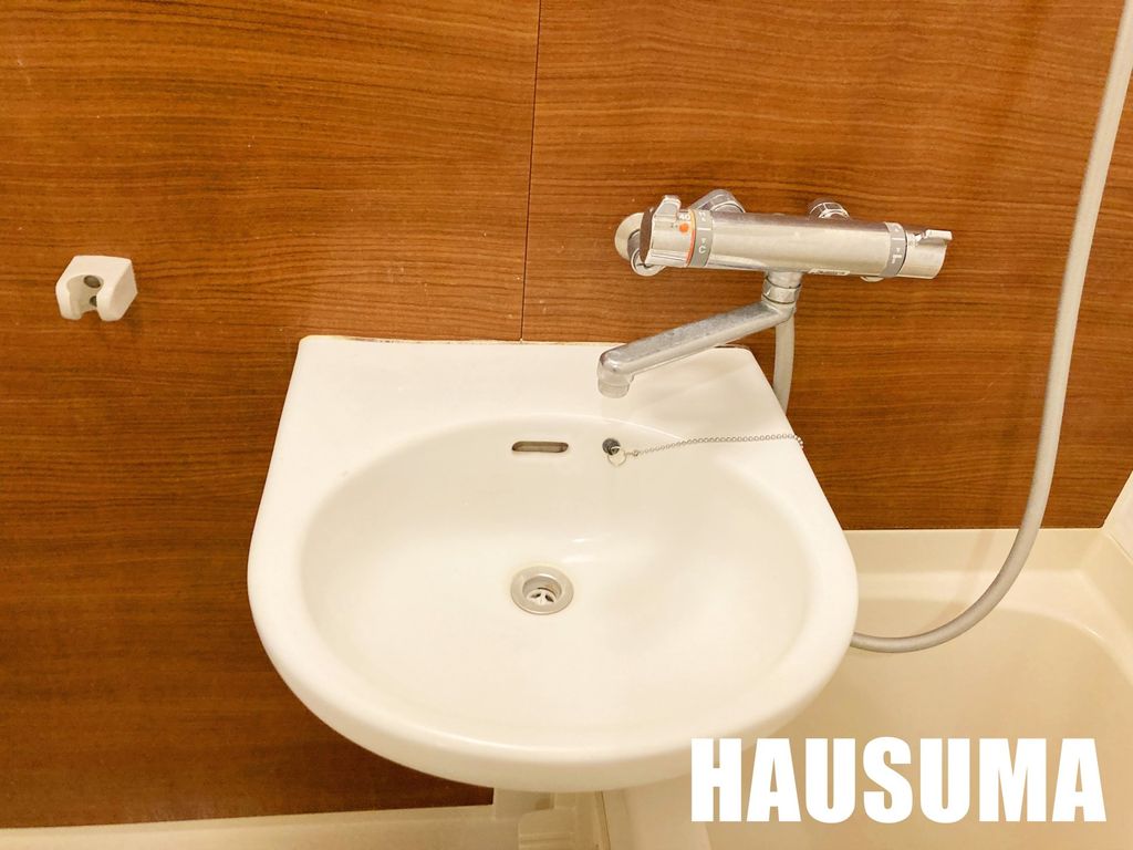 洗面設備　※他号室写真使用