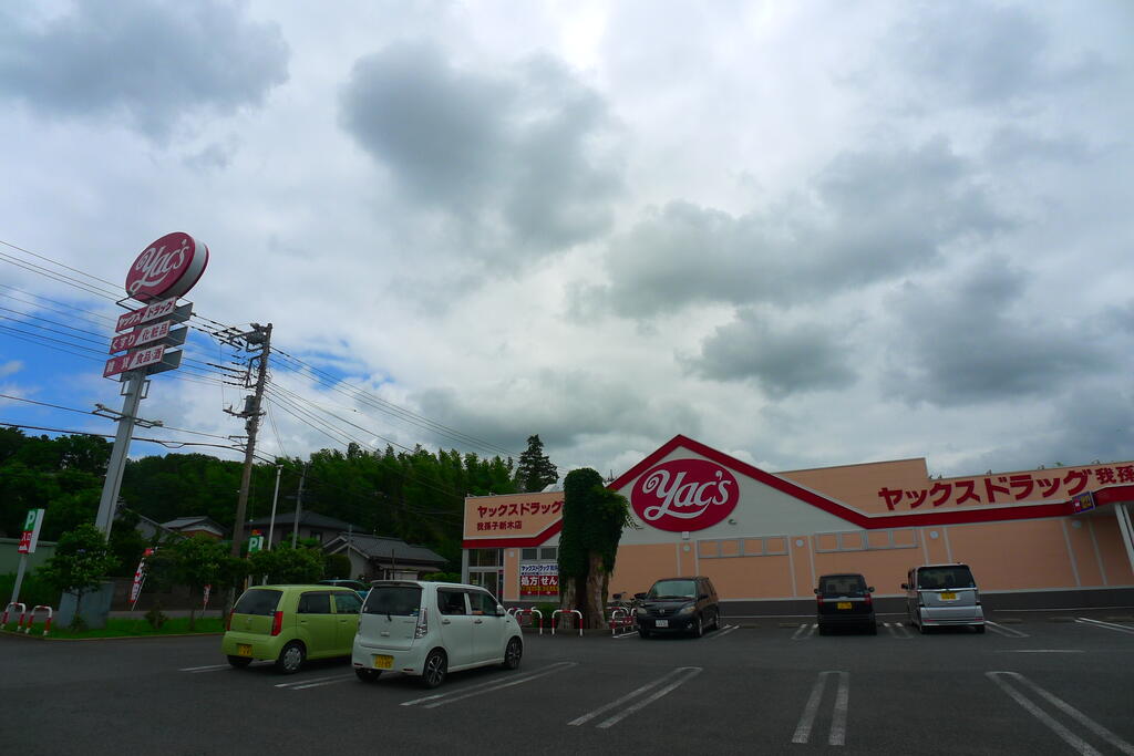 ドラックストア　ヤックスドラッグ我孫子新木店（ドラッグストア）まで730m