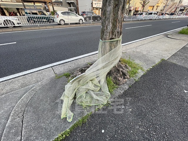 【名古屋市昭和区川原通のアパートのその他】