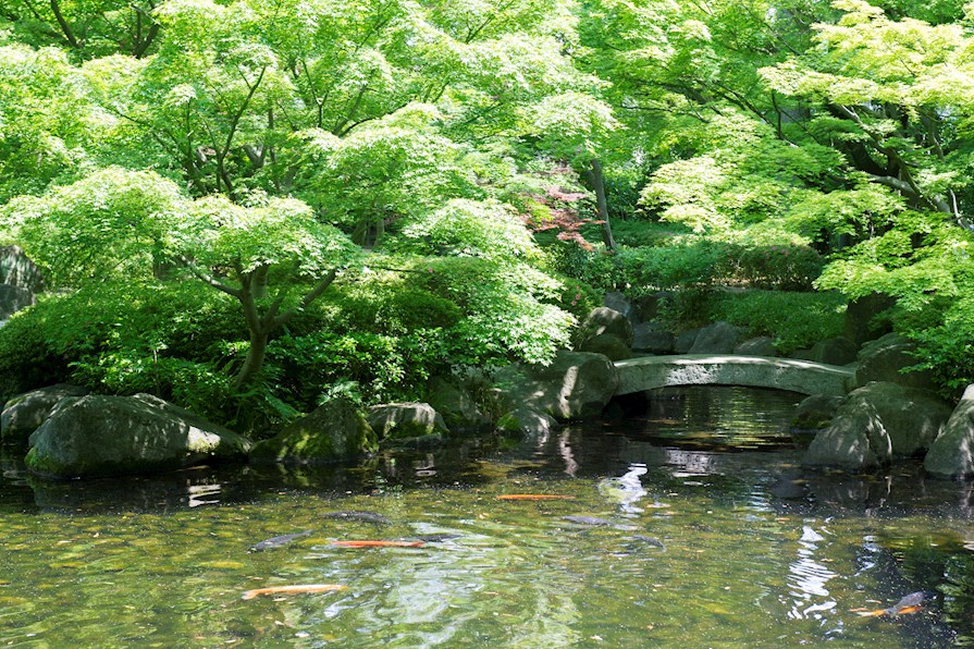 【杉並区成田東のアパートの公園】