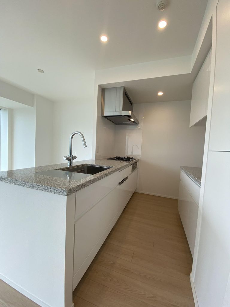 キッチン　食洗機・ディスポーザー・浄水器付き