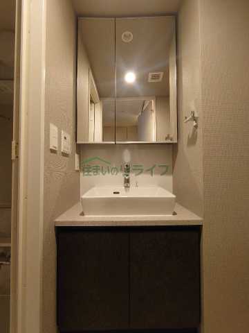 洗面設備　別部屋の参考写真です。