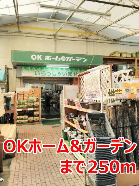 ホームセンター　ＯＫホーム＆ガーデン（ホームセンター）まで250m