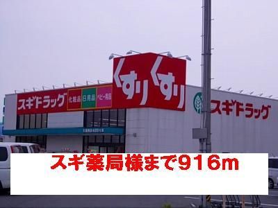 ドラックストア　スギ薬局様（ドラッグストア）まで916m