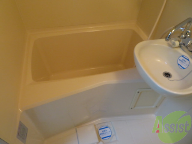 バス・シャワールーム　お風呂はこちらのユニットバスになりますね。