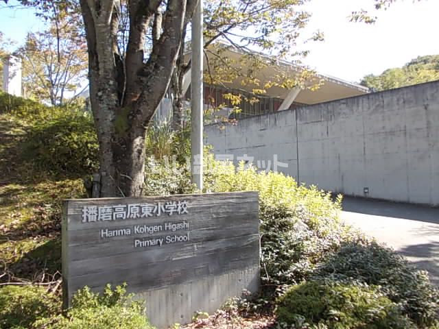 小学校　播磨高原東小学校（小学校）まで724m