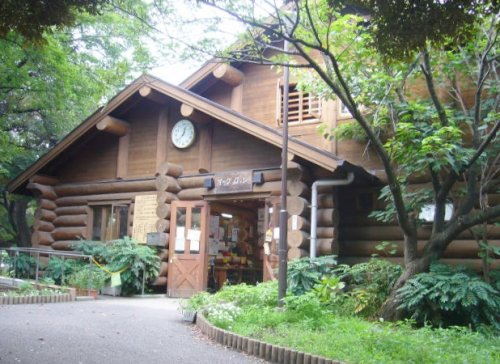 公園　柏葉公園こどもログハウス（公園）まで247m