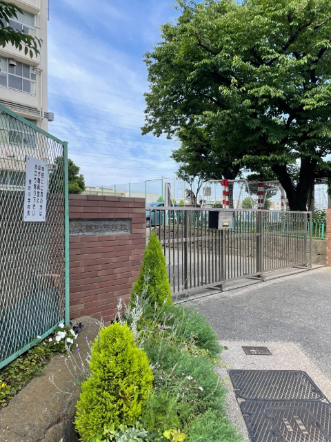 中学校　横浜市立樽町中学校（中学校）まで1938m