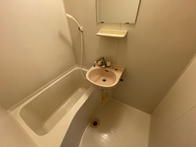 バス・シャワールーム　※同建物別部屋の写真になります。