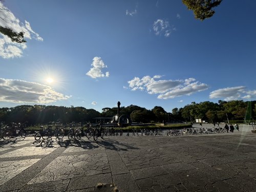 公園　服部緑地（公園）まで701m