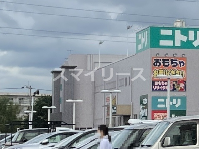 その他　ニトリ 柏店（その他）まで742m