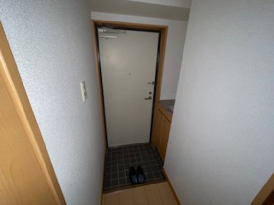 玄関　※別部屋の写真です