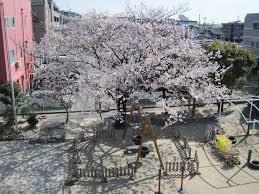 幼稚園・保育園　天神保育園（幼稚園・保育園）まで517m