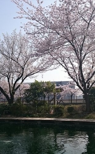 公園　浮間つり堀公園（公園）まで2863m